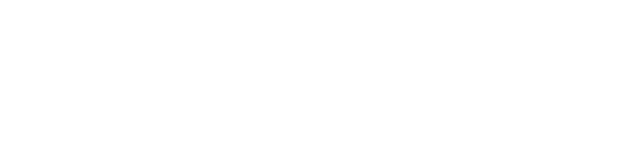 Logo Studio Diego Sousa