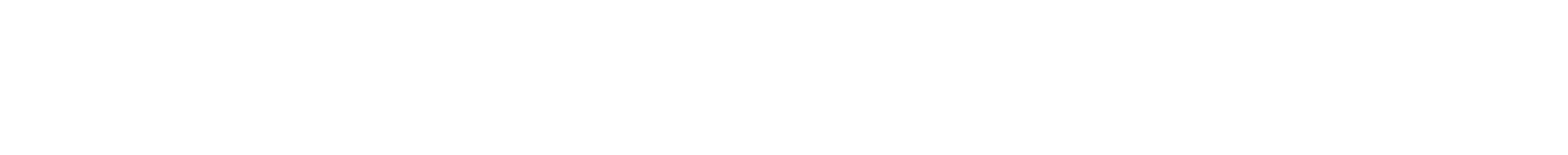 Logo Studio Diego Sousa